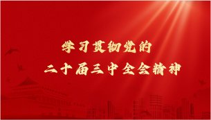 继续了解